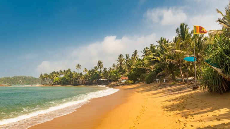 Enjoy the serene atmosphere of Negombo Beach