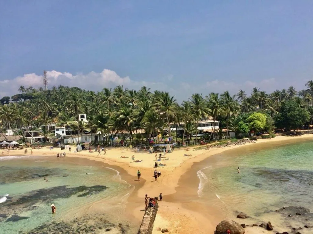 Best Negombo Canal Boat Ride
