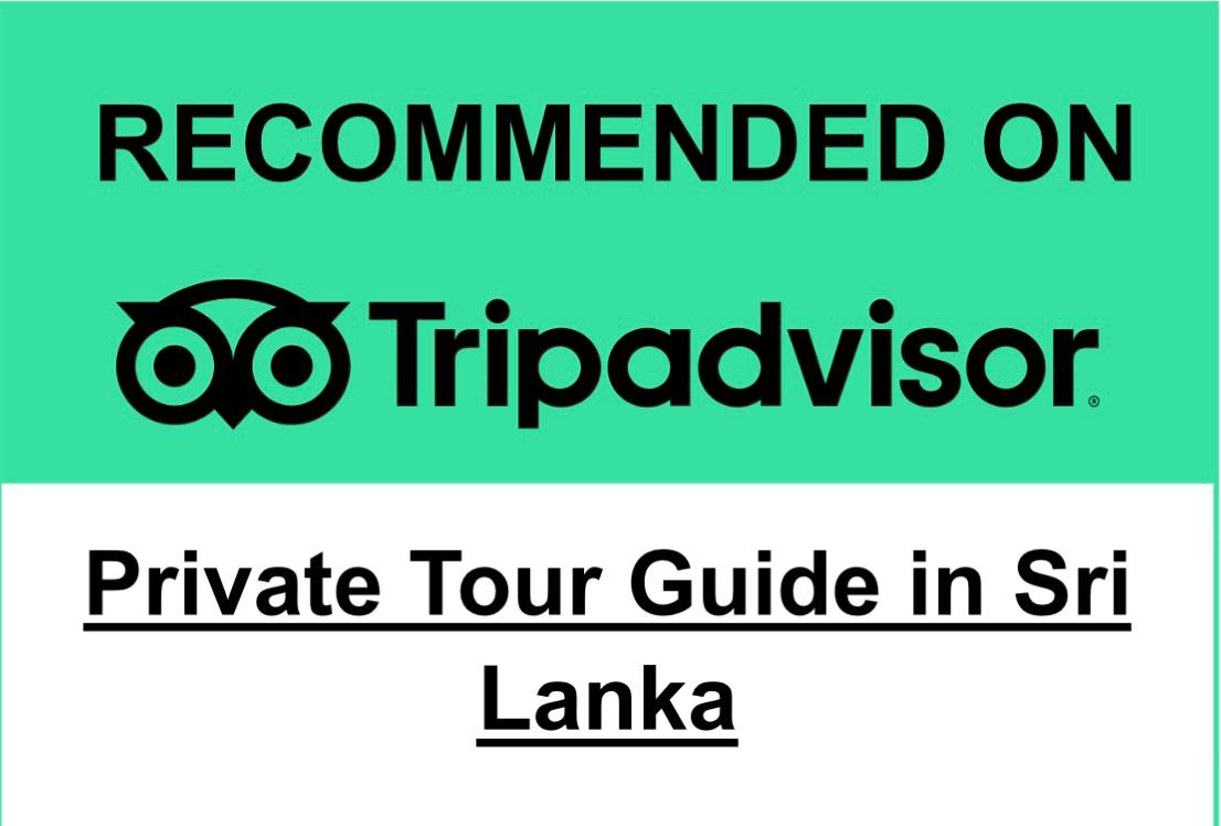 Recommended on tripadvisor