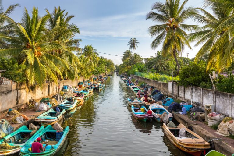 Take a boat ride through Negombo Canal