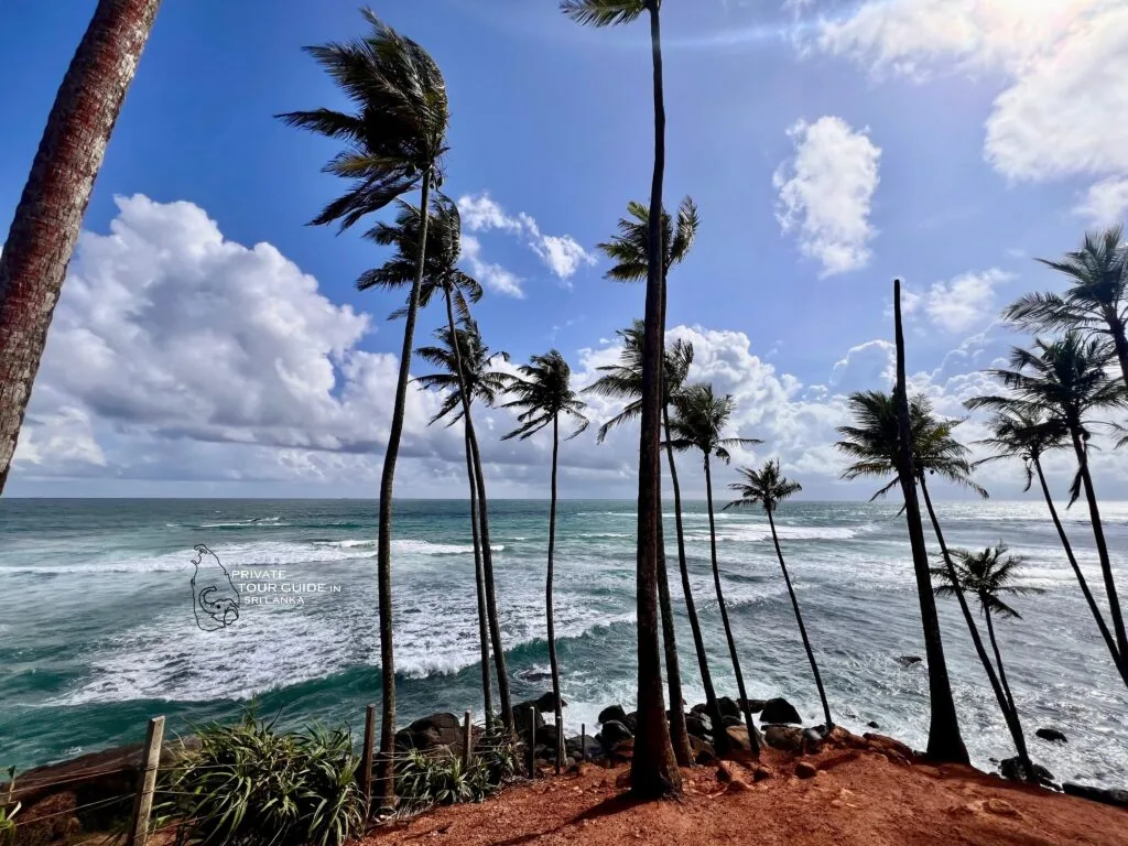 WhatsApp Image 2025 03 21 at 19.51.39 ec310d35 scaled