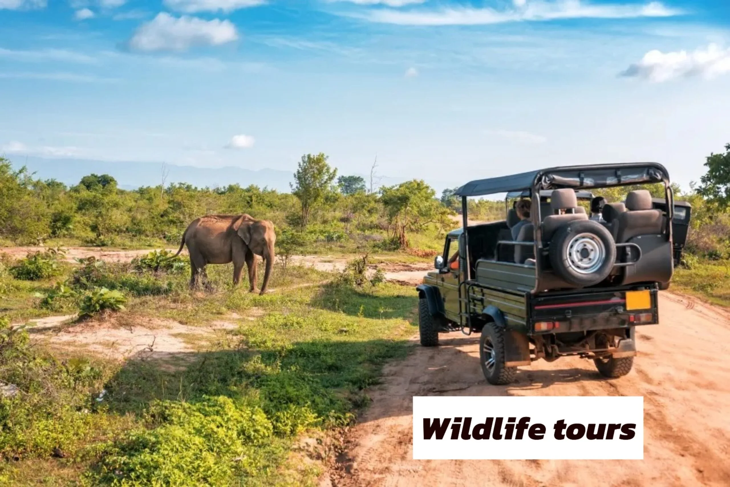 WhatsApp Image 2025 03 24 at 15.27.23 7177fd58 scaled