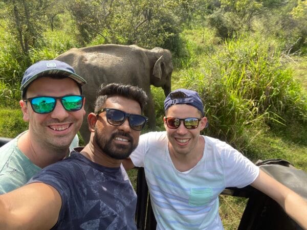 elephants udawalawe national park private wildlife tour sri lanka